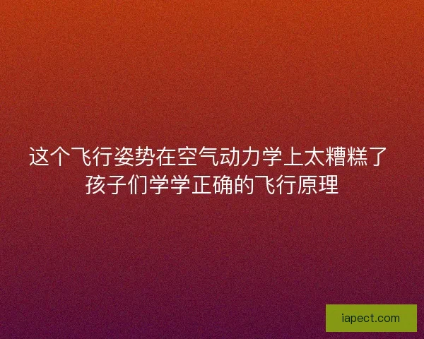 这个飞行姿势在空气动力学上太糟糕了 孩子们学学正确的飞行原理